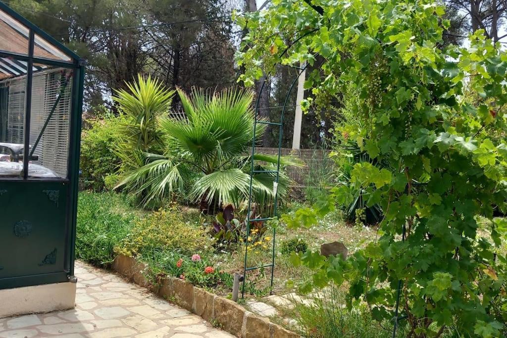 Villa Magali Grande Terrasse Vue Mer, Jardin, Proche Port ラシオタ エクステリア 写真